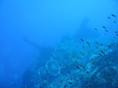 Epave Numibia